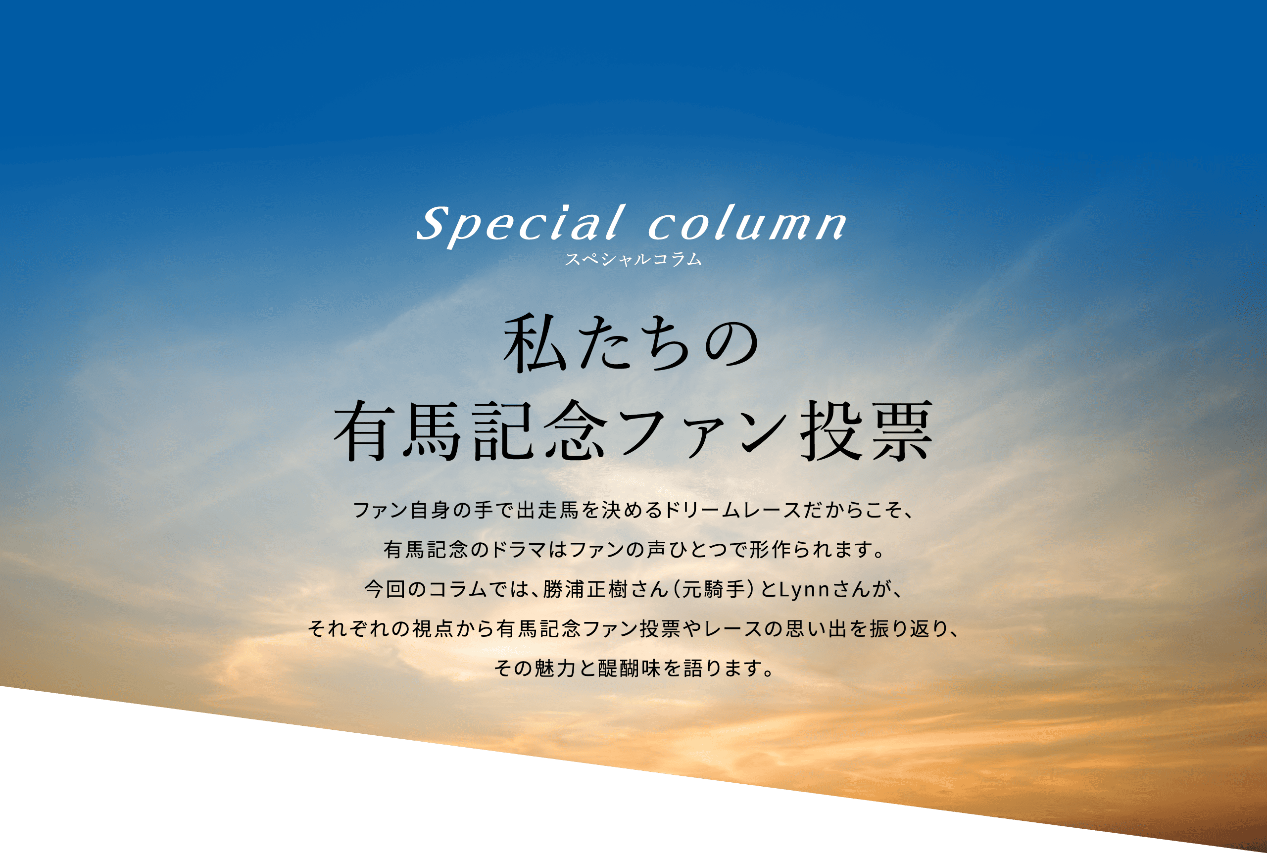 ファン投票の概要